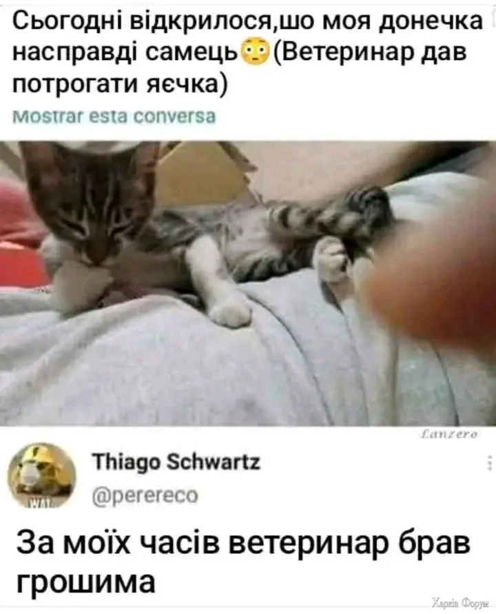 1000031927.webp