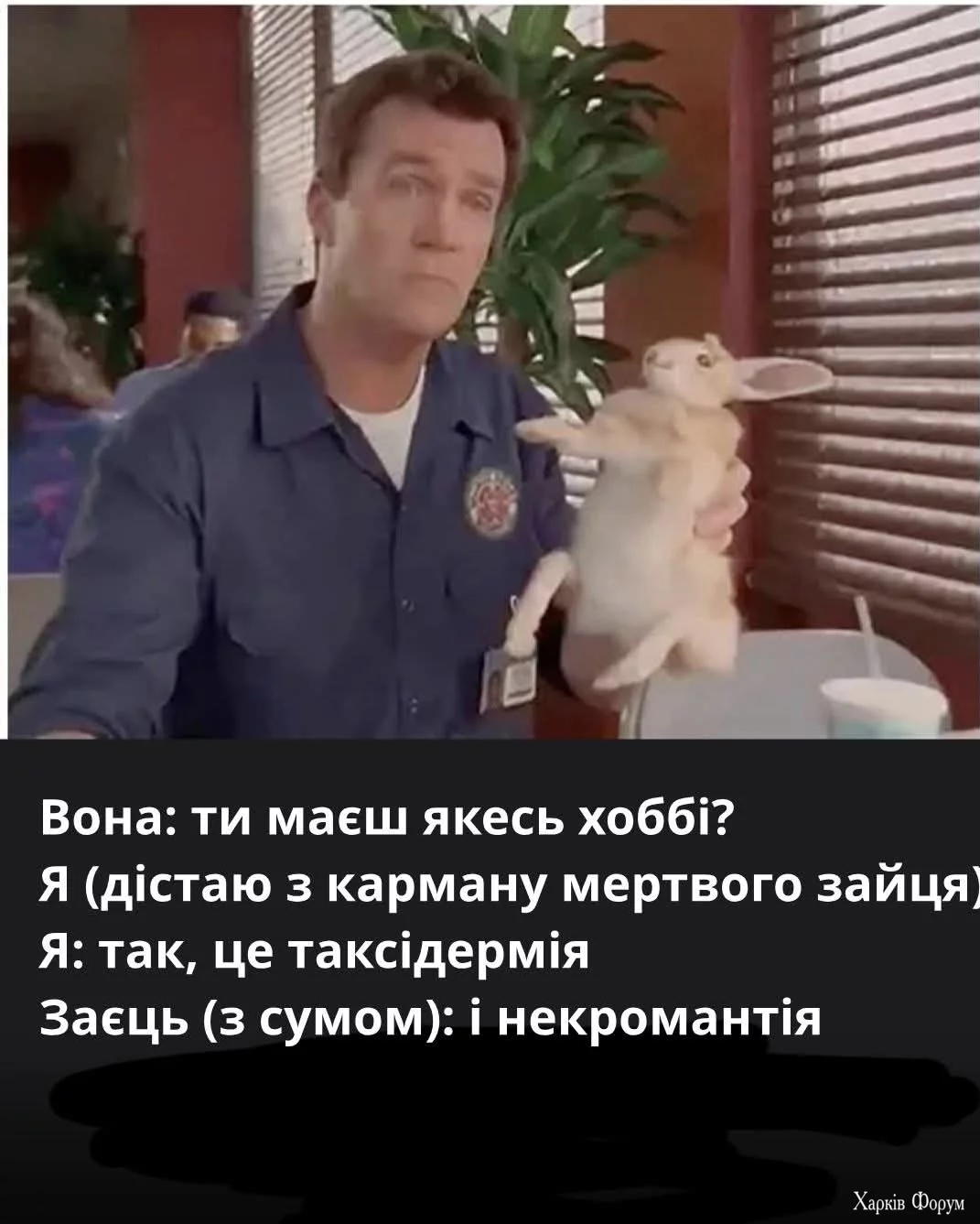 1000032108.webp