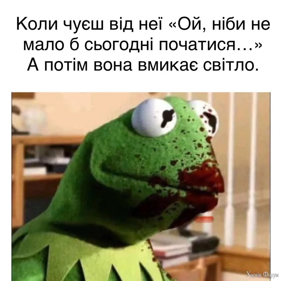 1000032371.webp