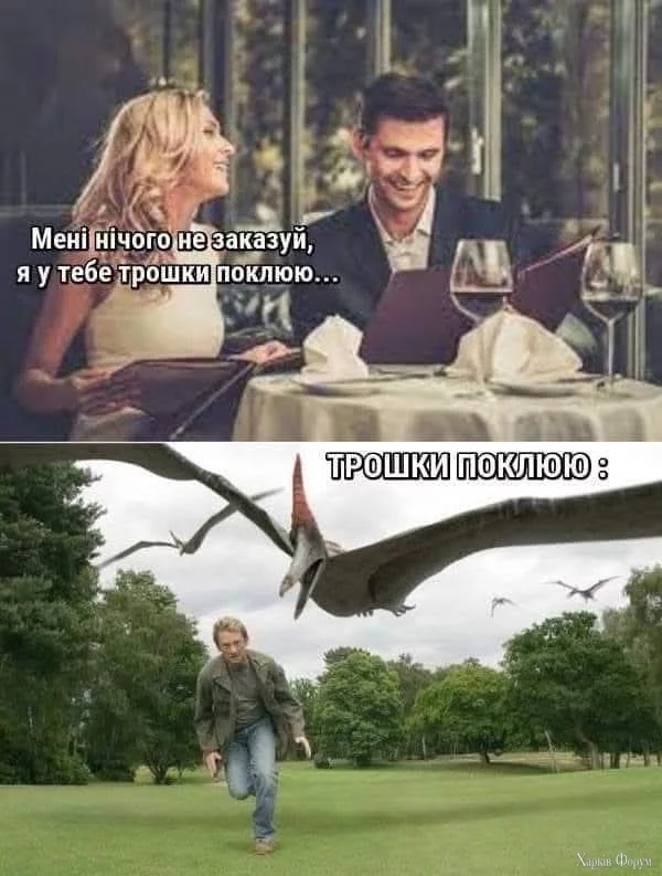 1000032372.webp