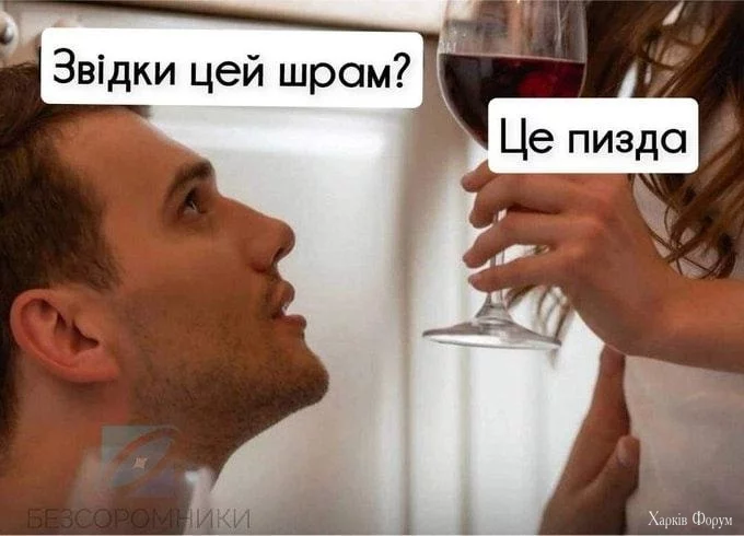 1000032460.webp