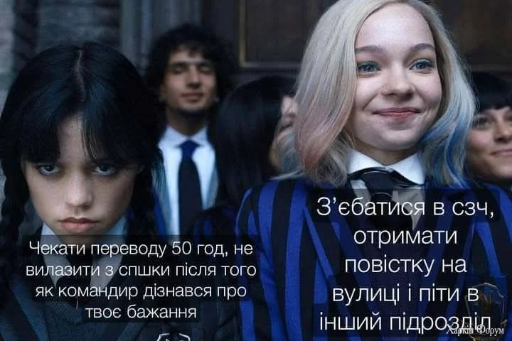 1000032601.webp