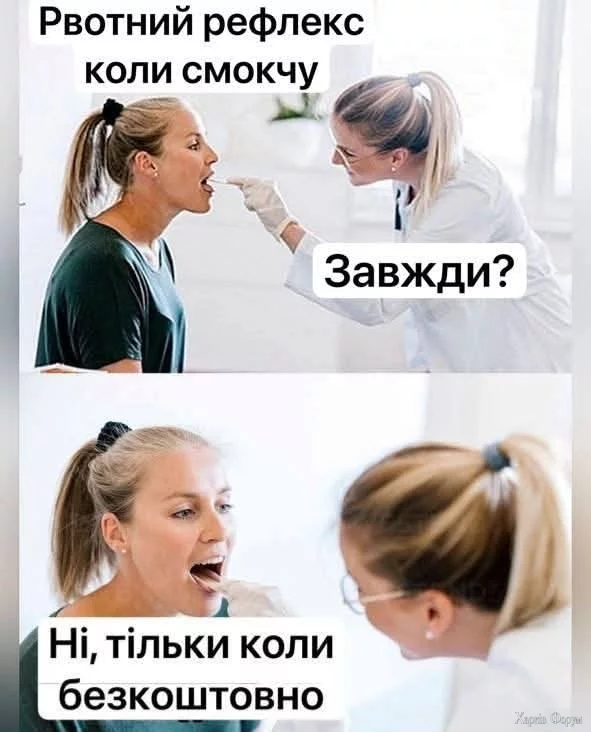 1000032738.webp
