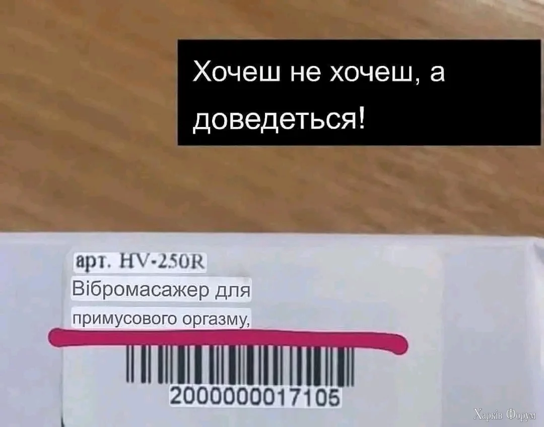 1000032947.webp