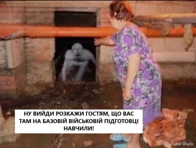 1000033746.webp