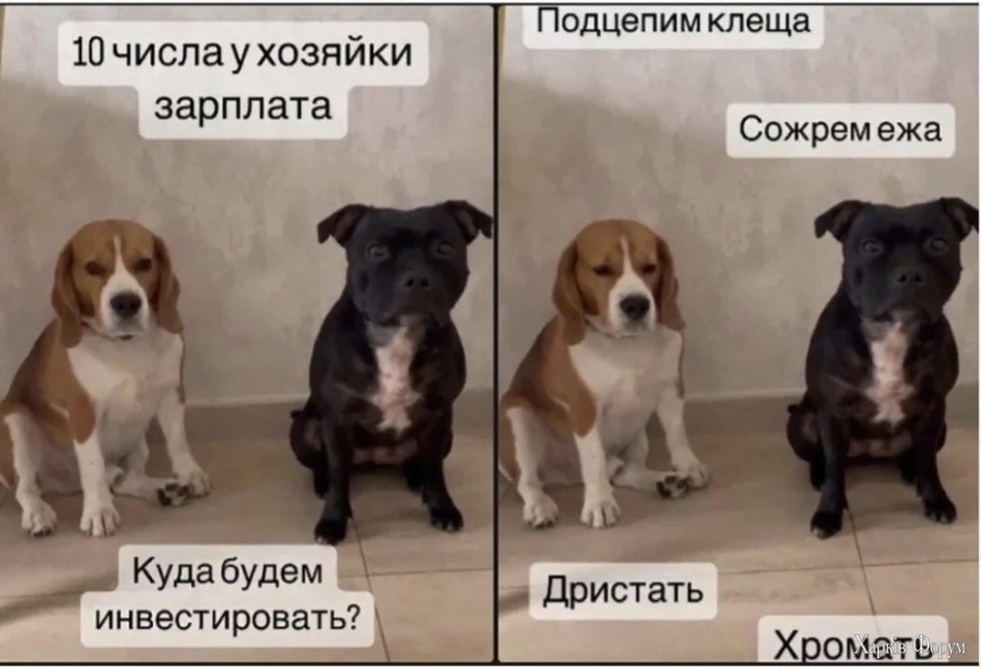 1000033859.webp