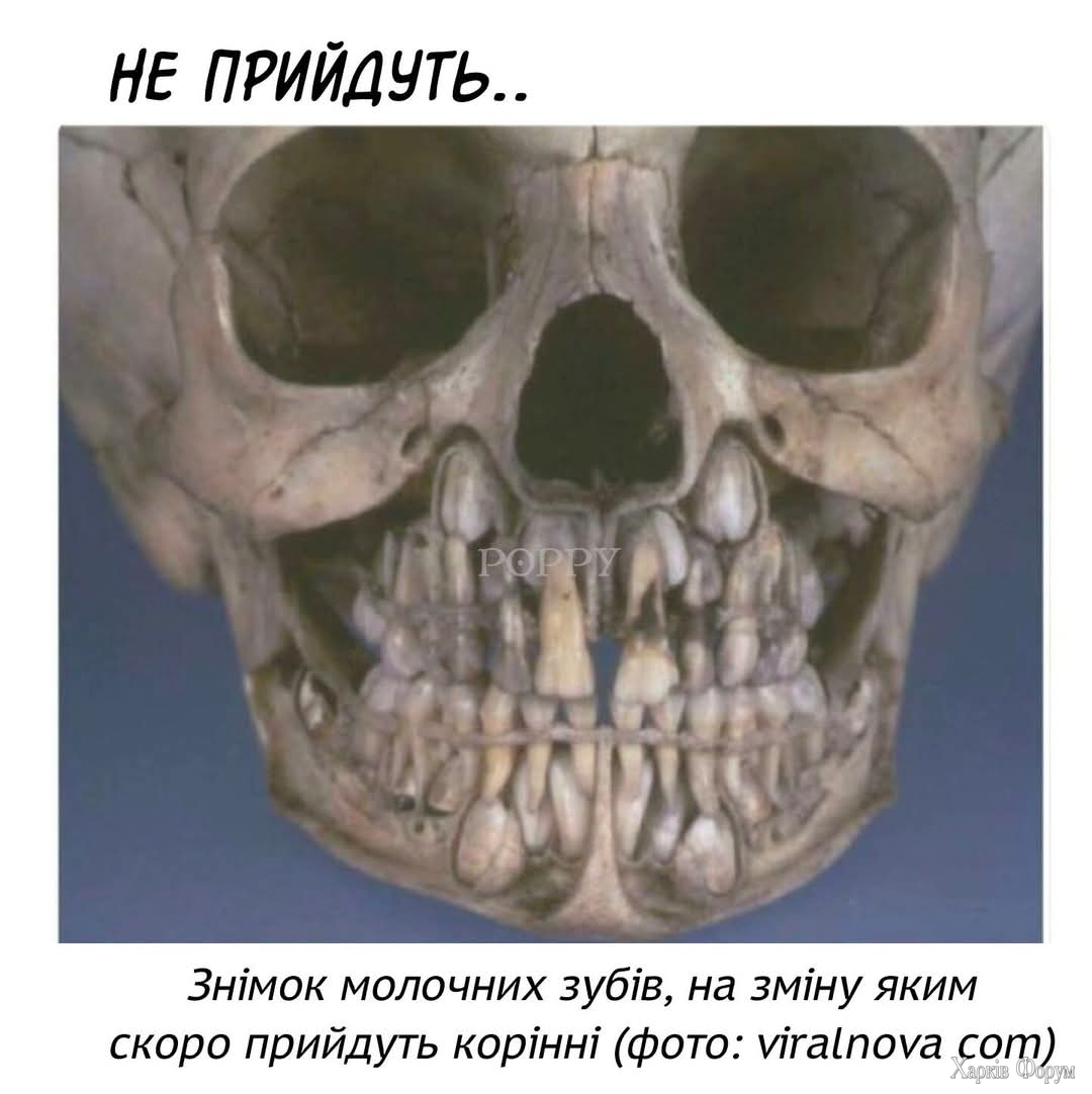 1000033951.jpg