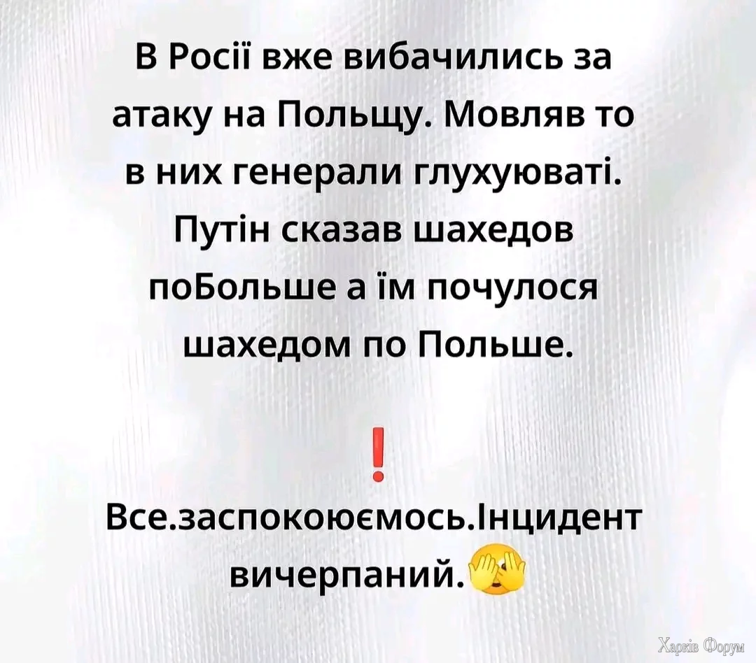 1000033977.webp