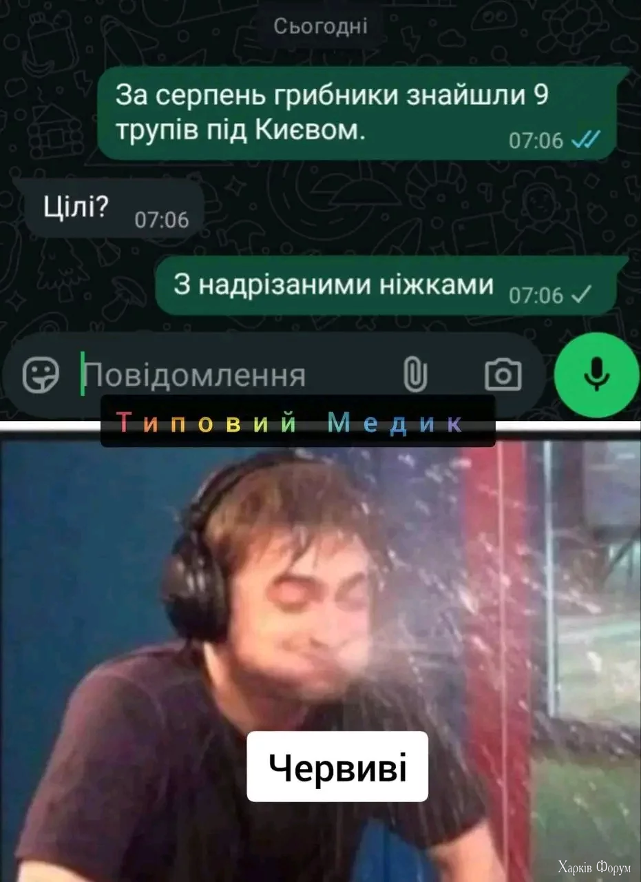 1000034031.webp