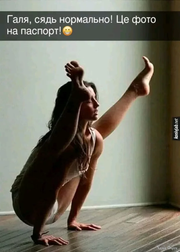 1000034115.webp