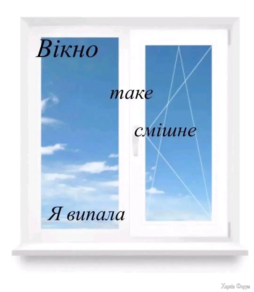 1000034146.webp