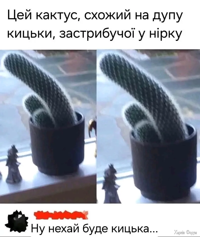 1000034169.webp