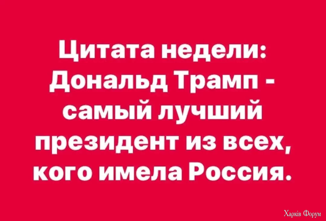 1000034299.webp