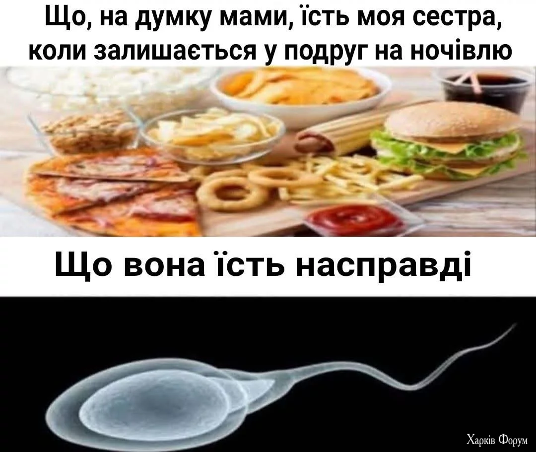 1000034466.webp