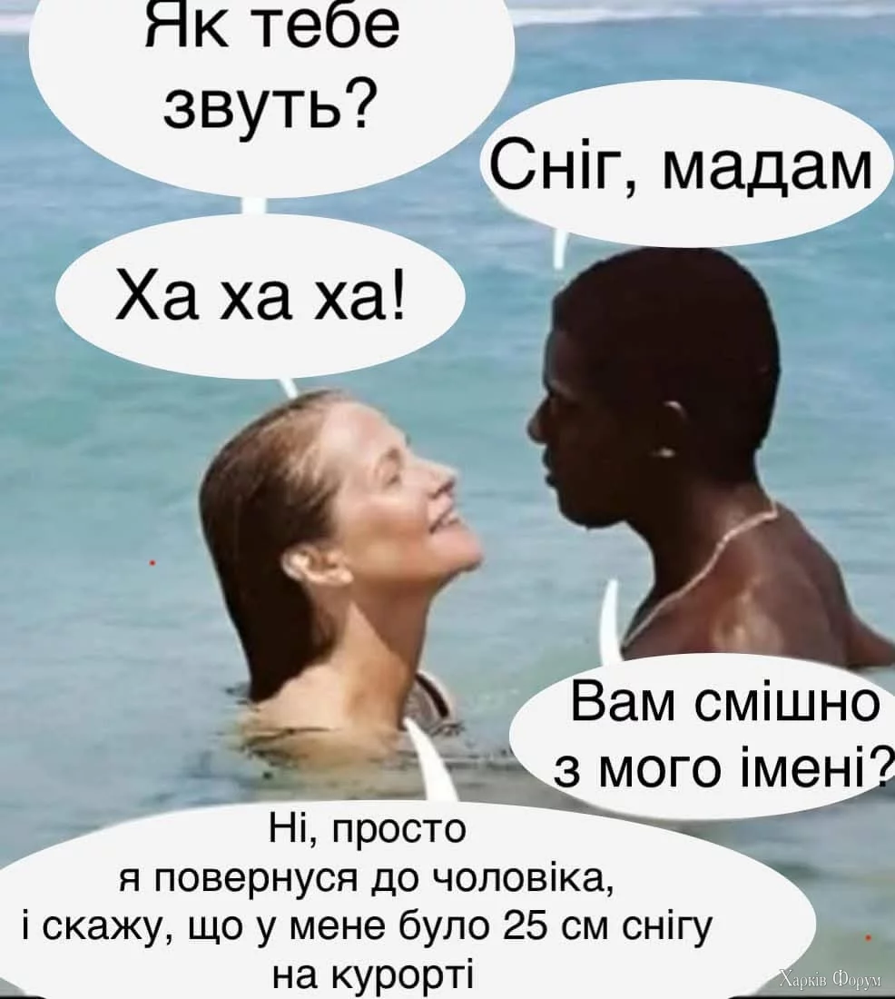 1000034868.webp