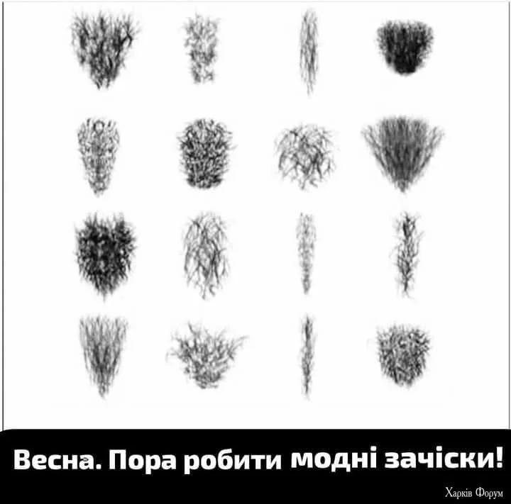 1000035194.webp