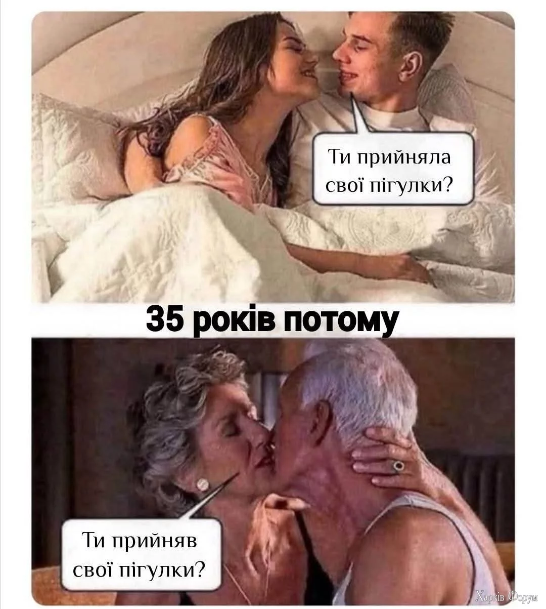 1000035400.webp