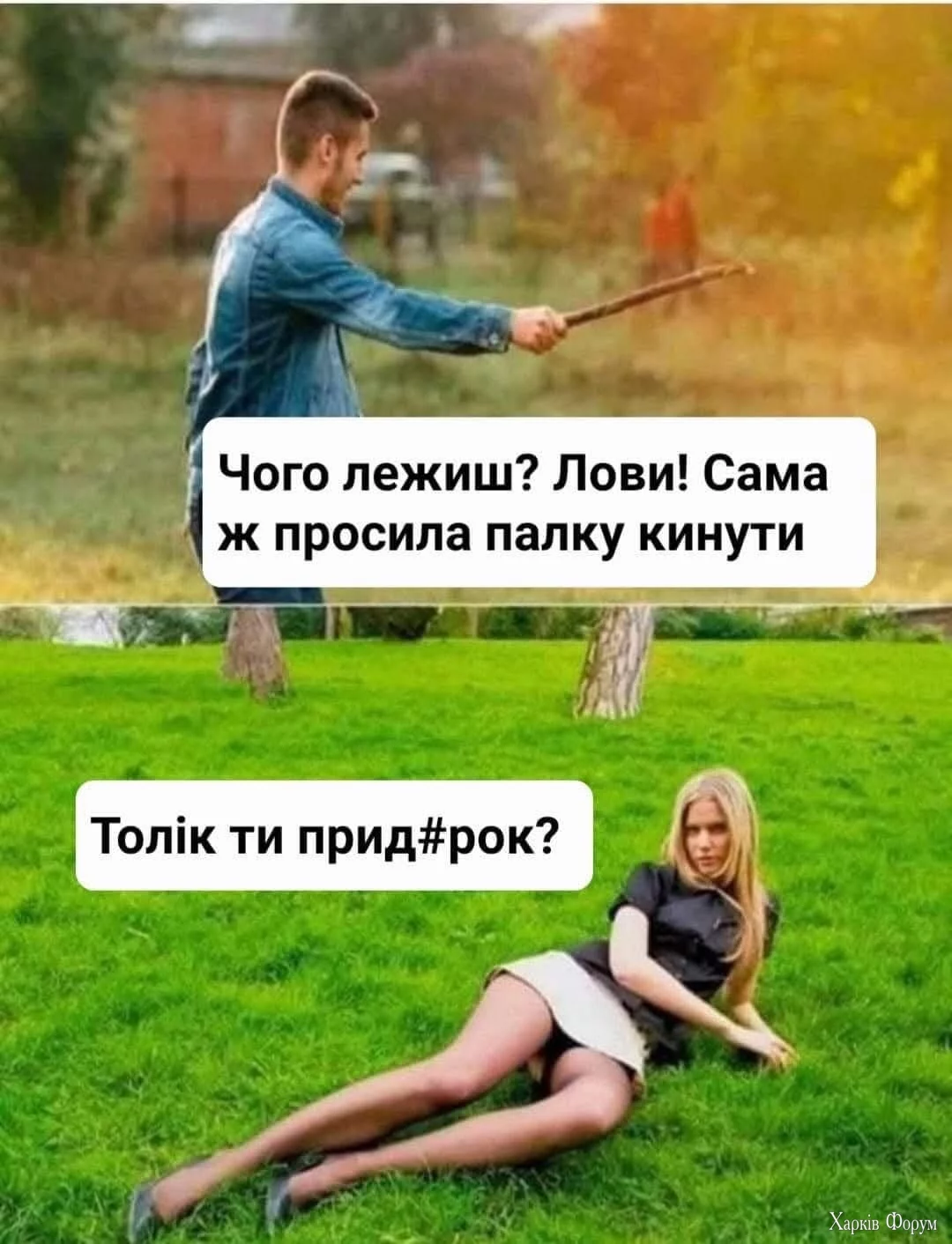 1000035407.webp