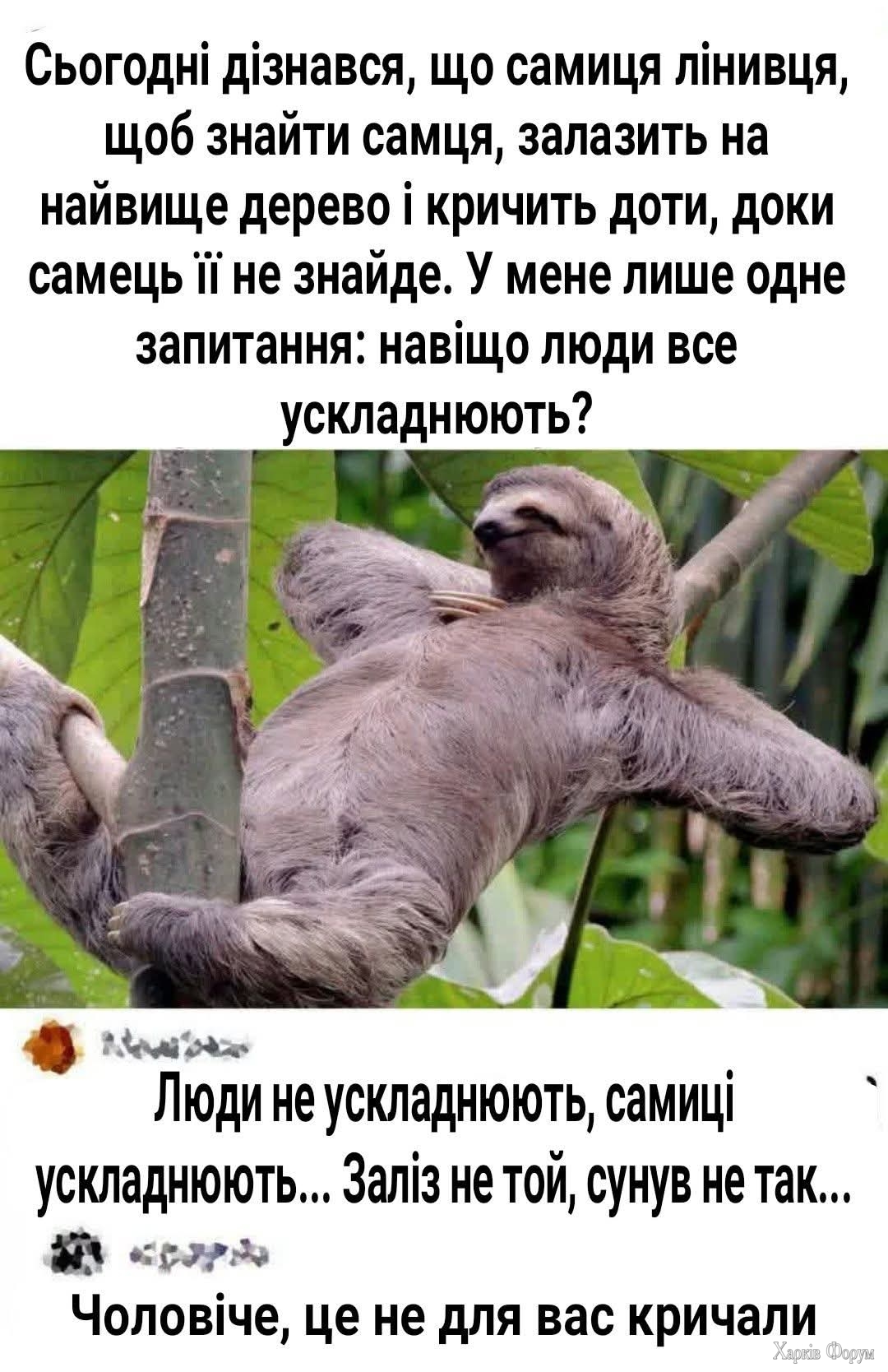 1000035408.jpg