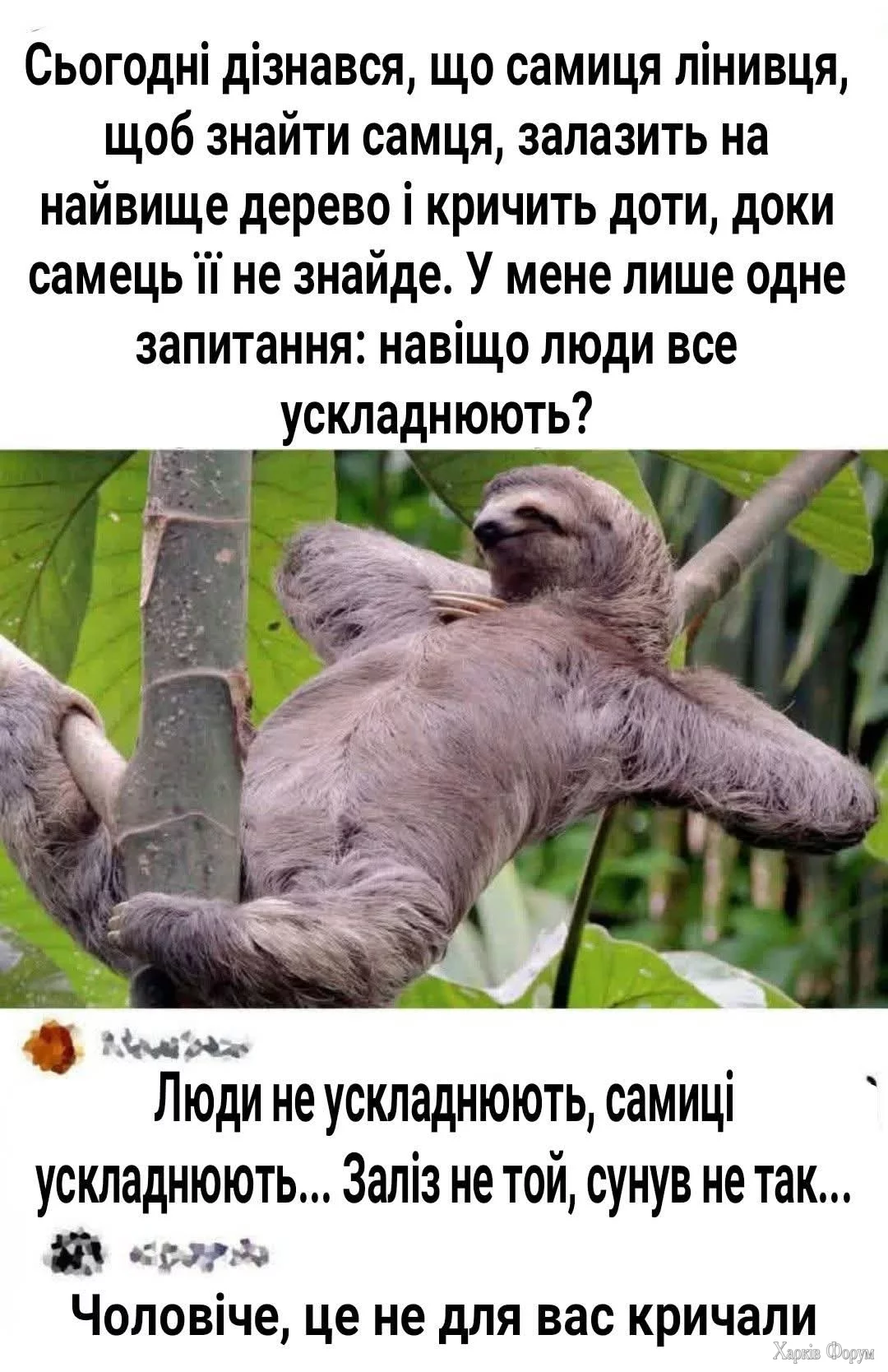 1000035408.webp
