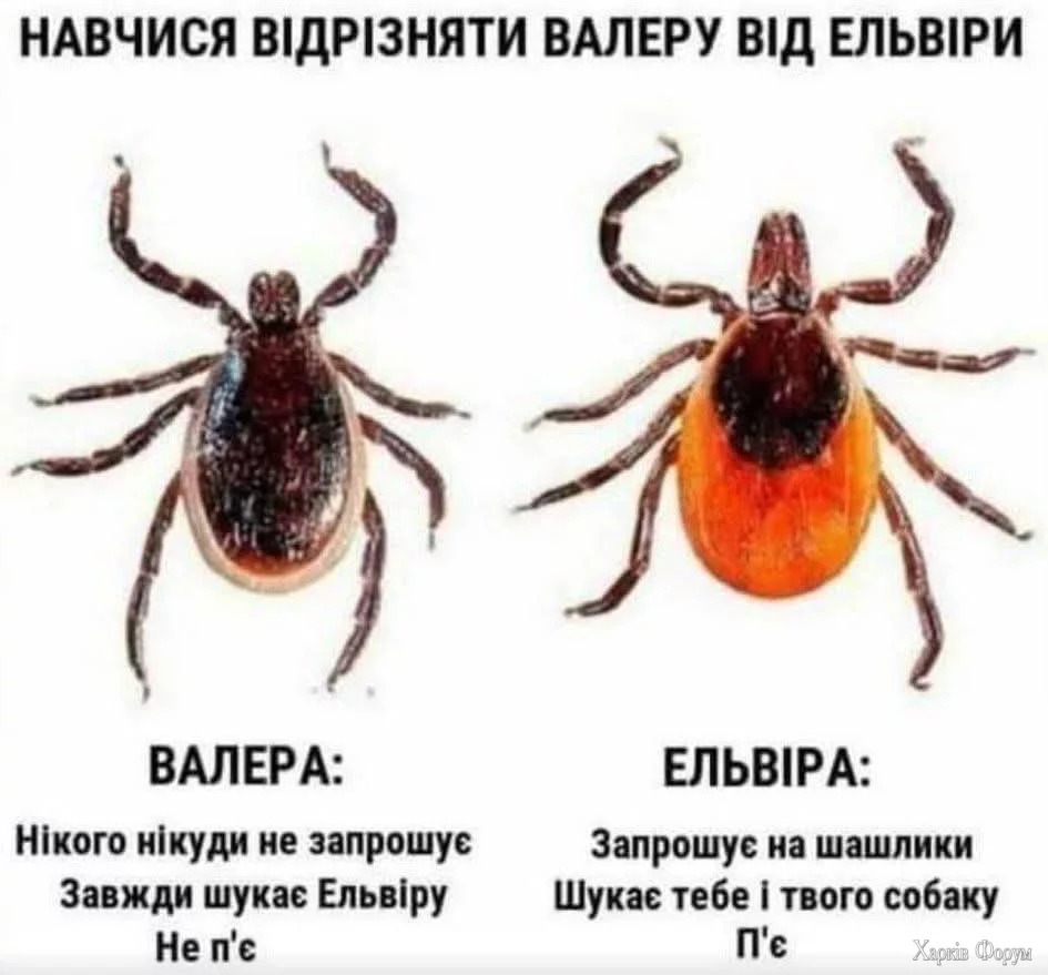1000035558.webp