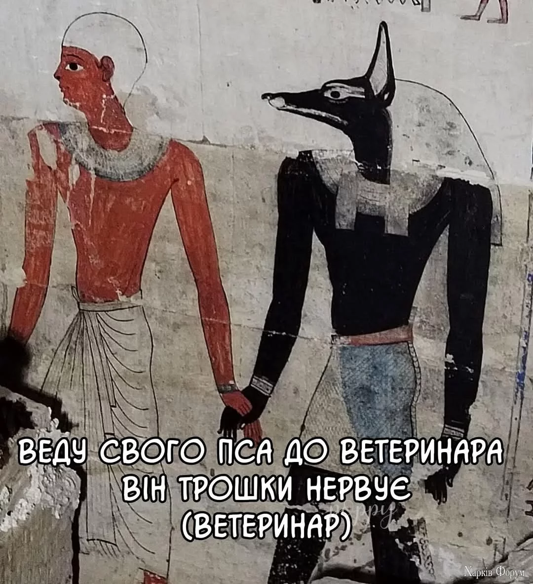 1000035713.webp