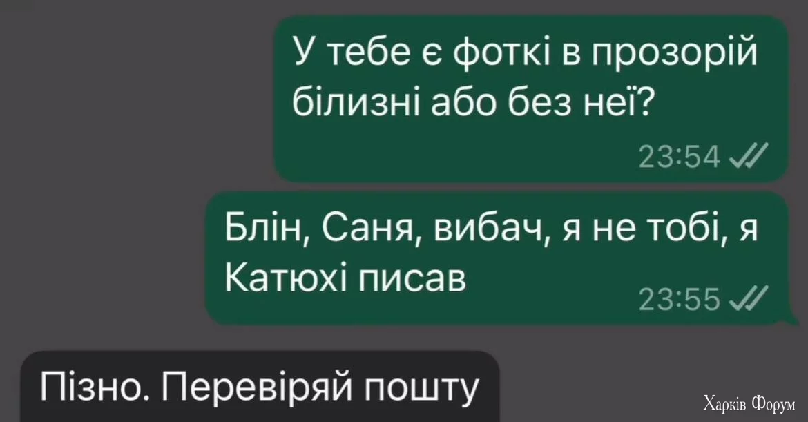 1000036161.webp