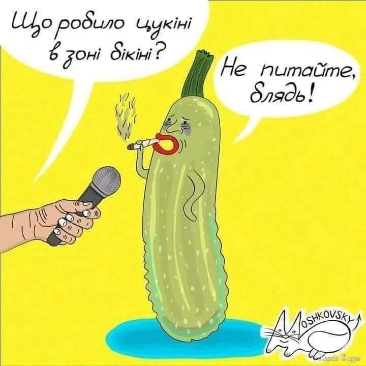 1000036273.webp