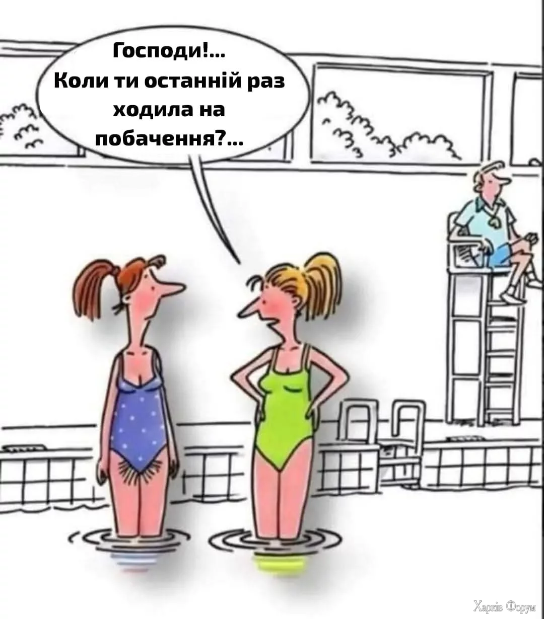 1000036401.webp