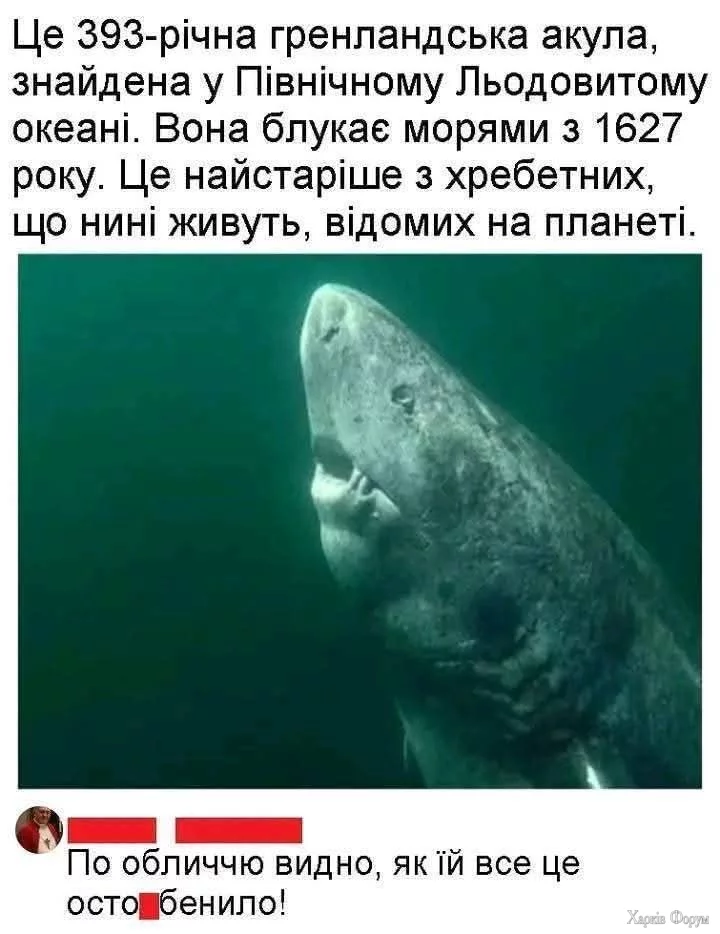 1000036566.webp