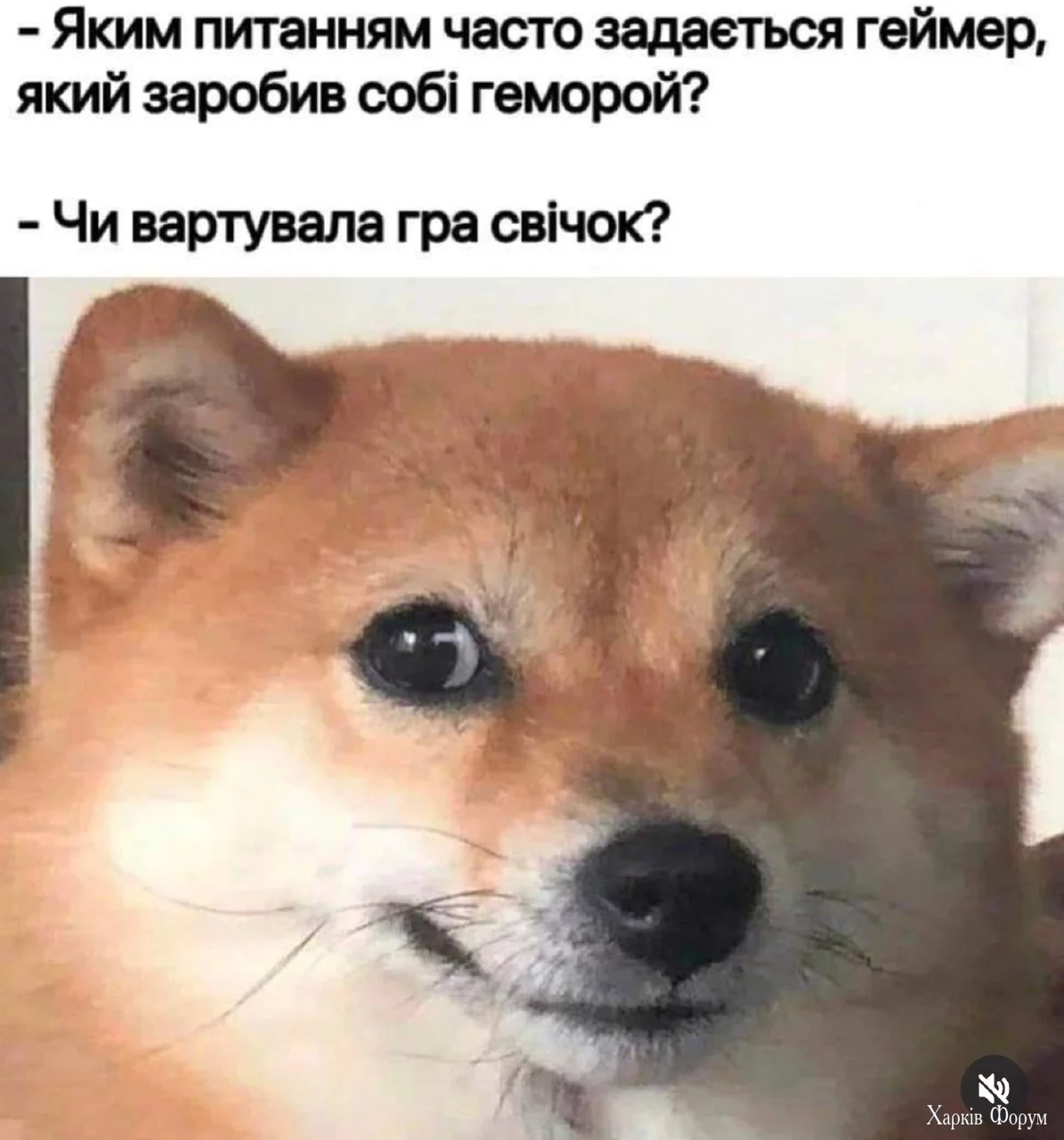 1000036670.webp