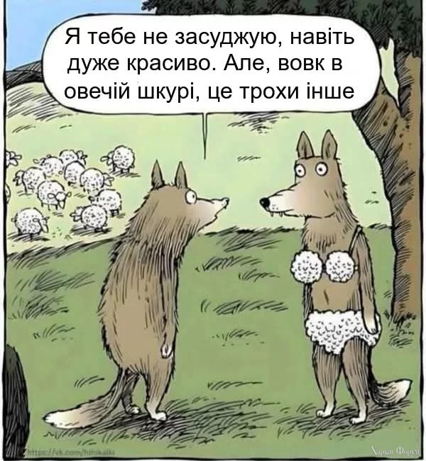 1000036777.webp
