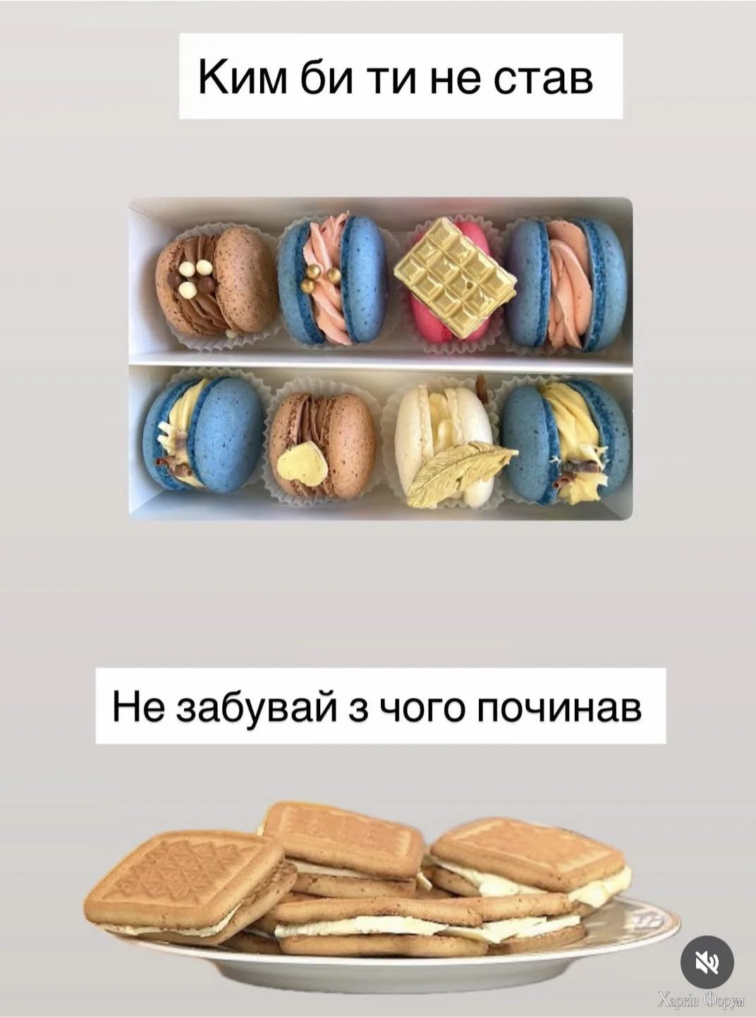 1000036919.webp