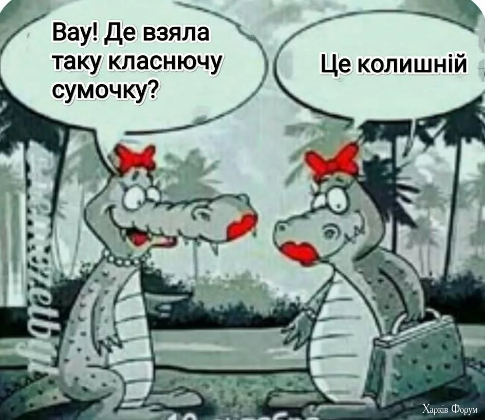 1000037021.webp