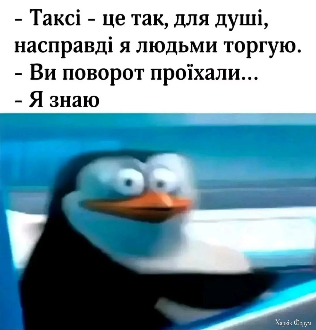 1000037077.webp