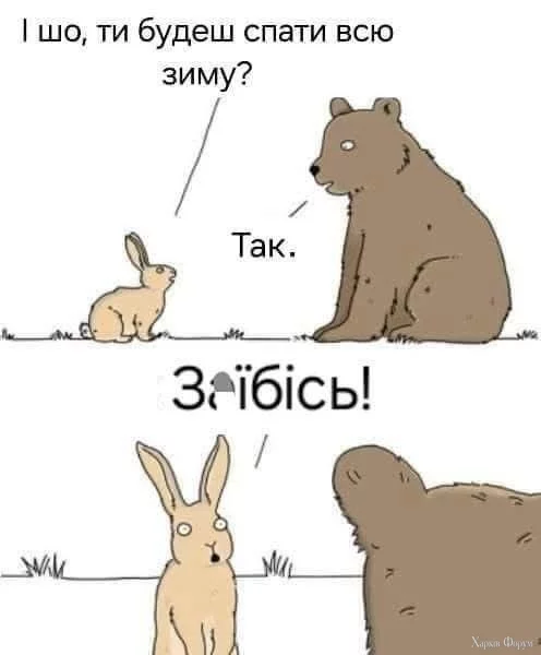 1000037235.webp