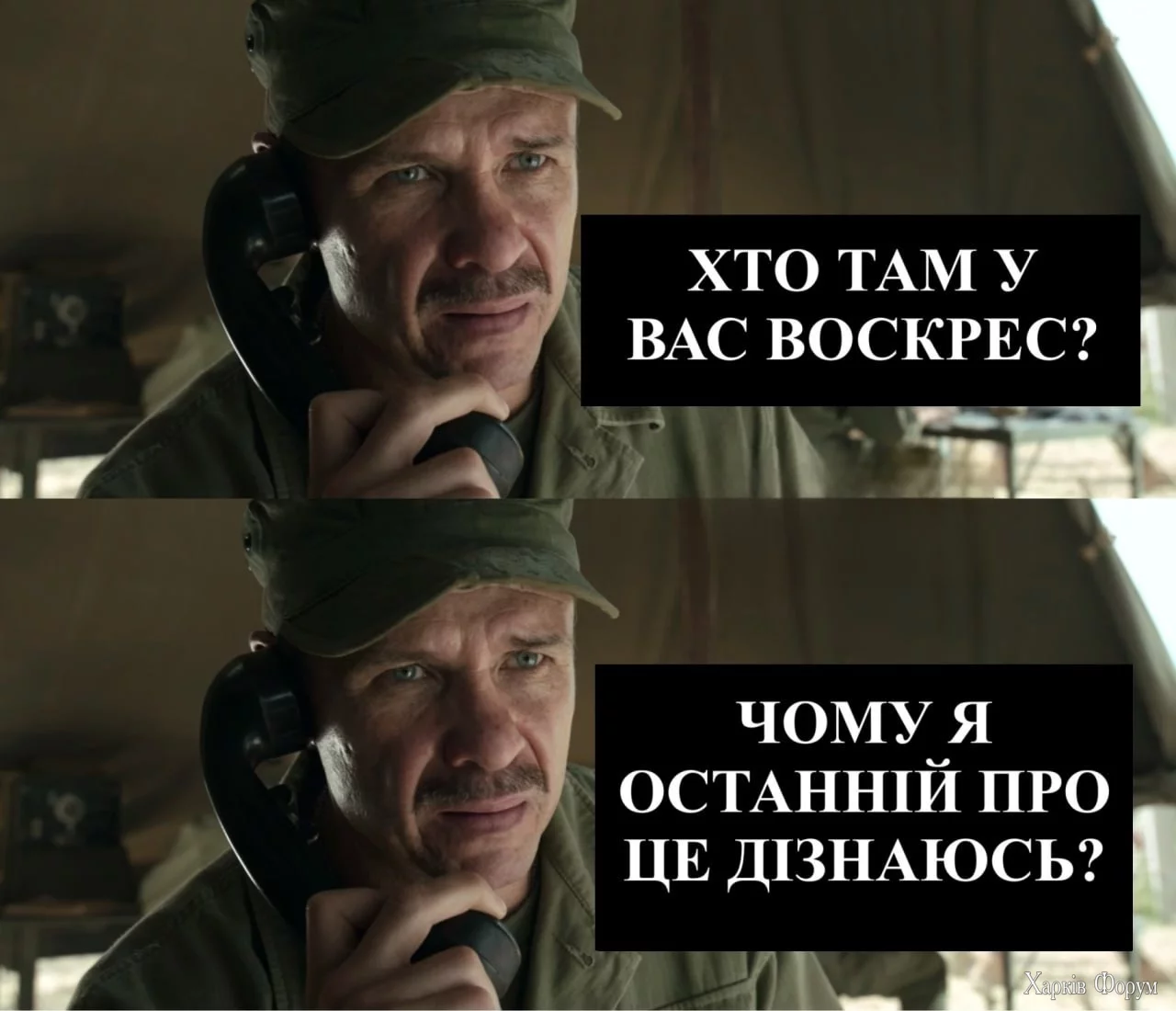 1000037306.webp
