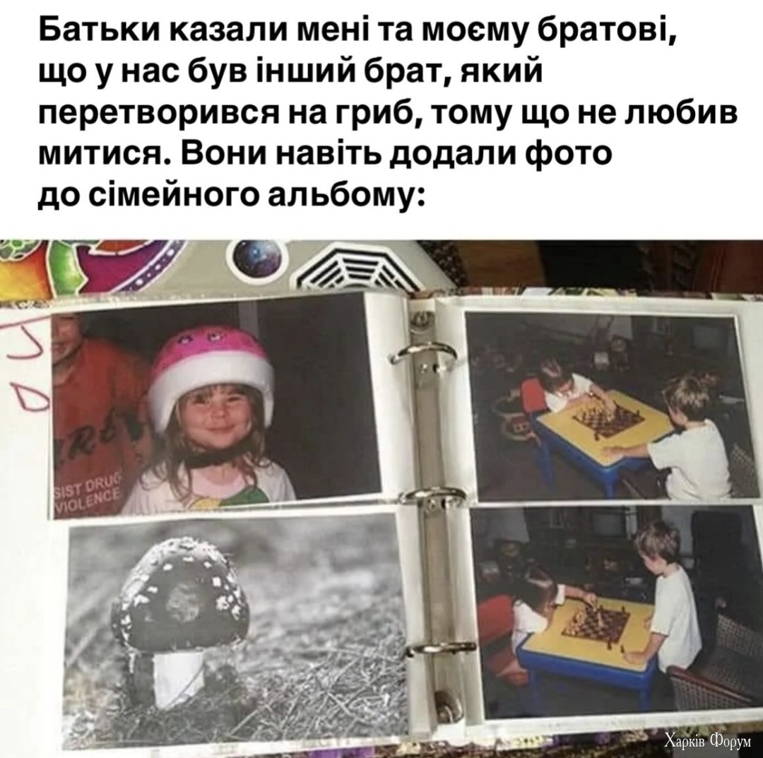 1000037734.jpg