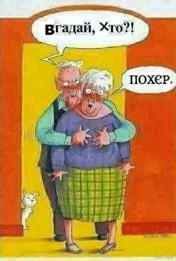 1000037784.webp