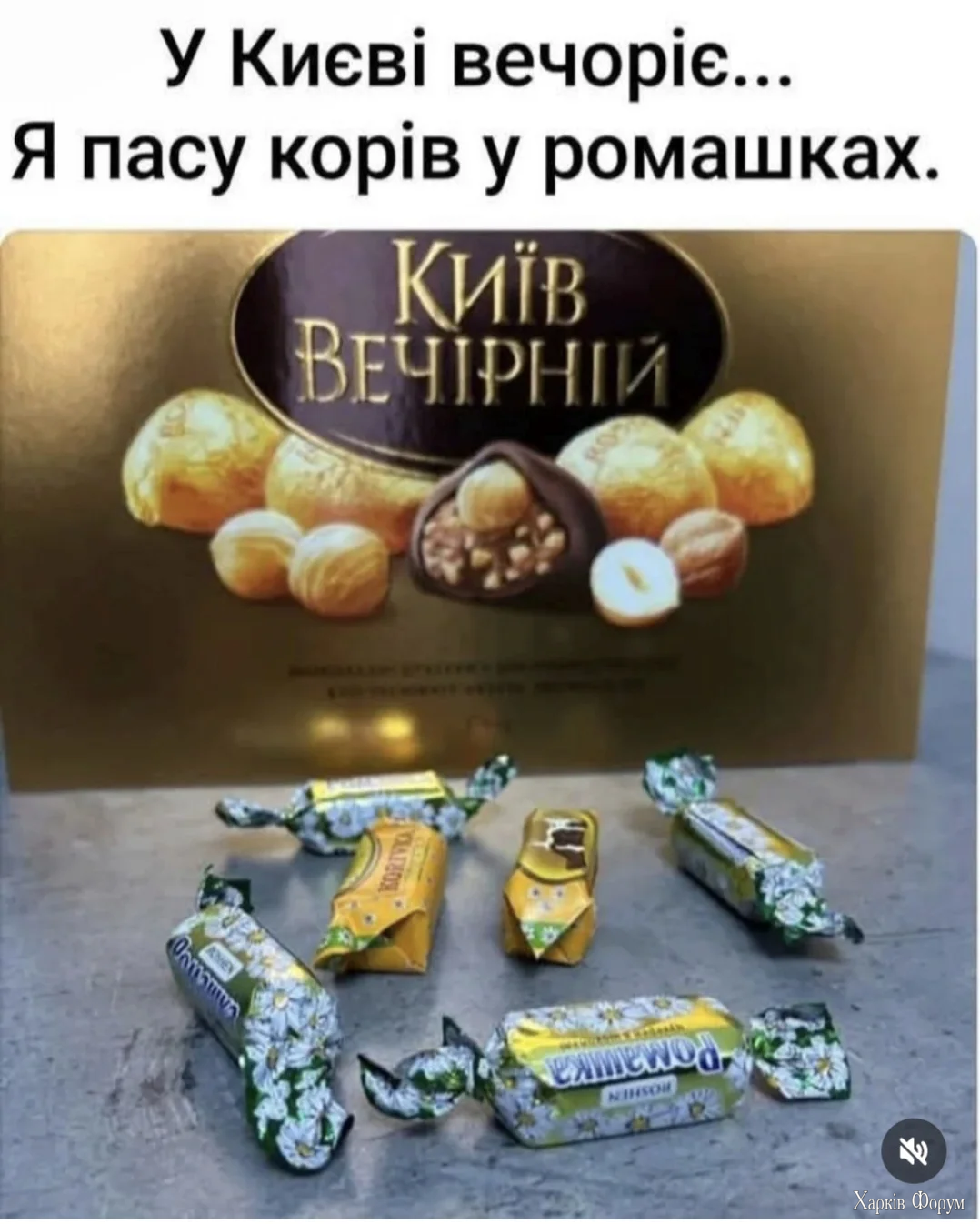 1000038058.webp