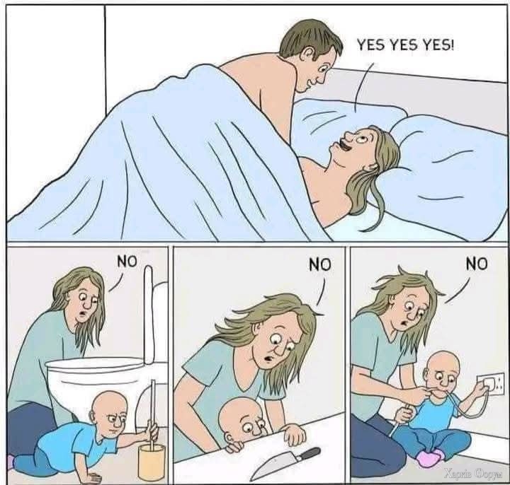 1000038077.jpg