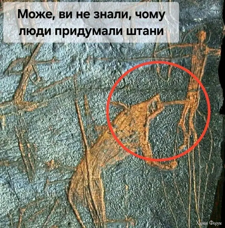 1000038130.webp