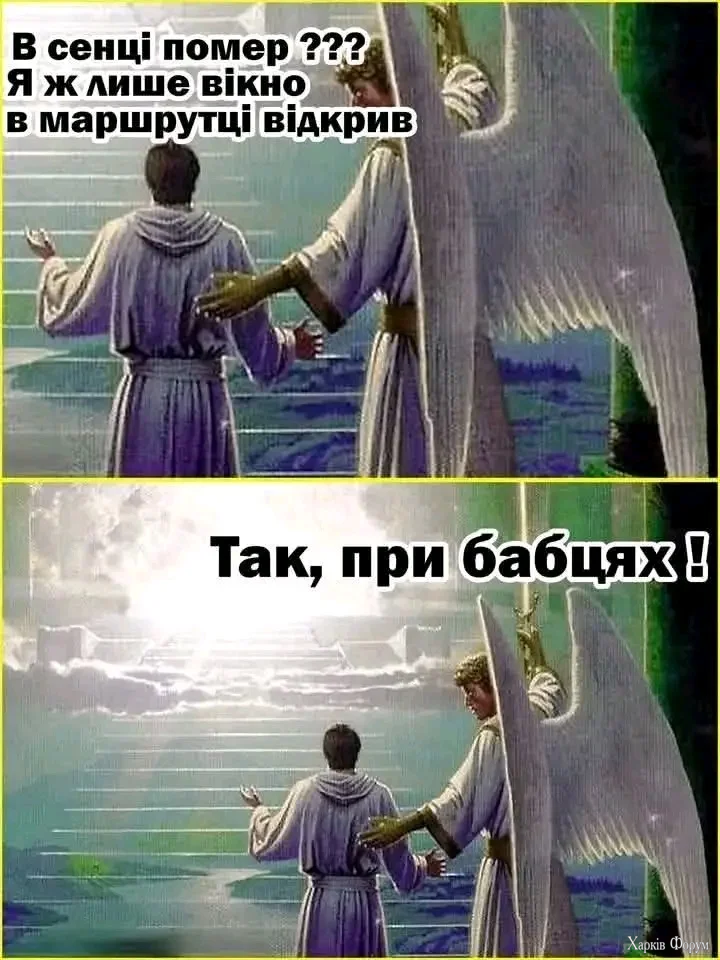 1000038138.webp