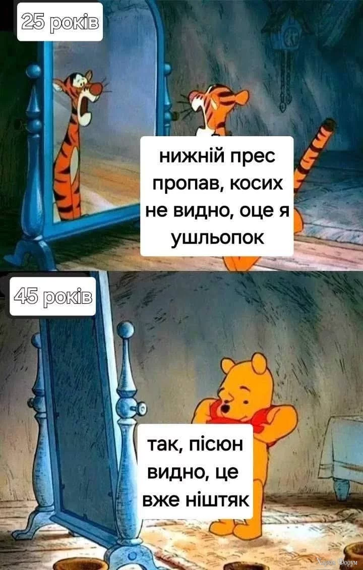 1000038390.webp