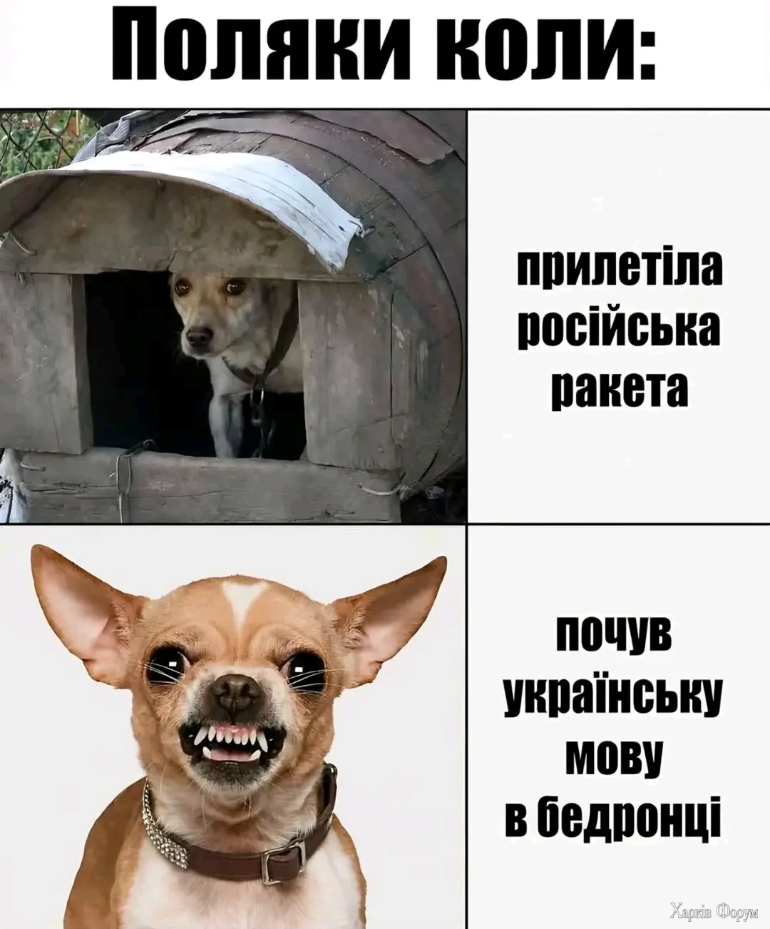 1000038524.webp