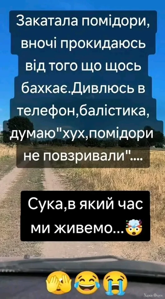 1000038716.webp