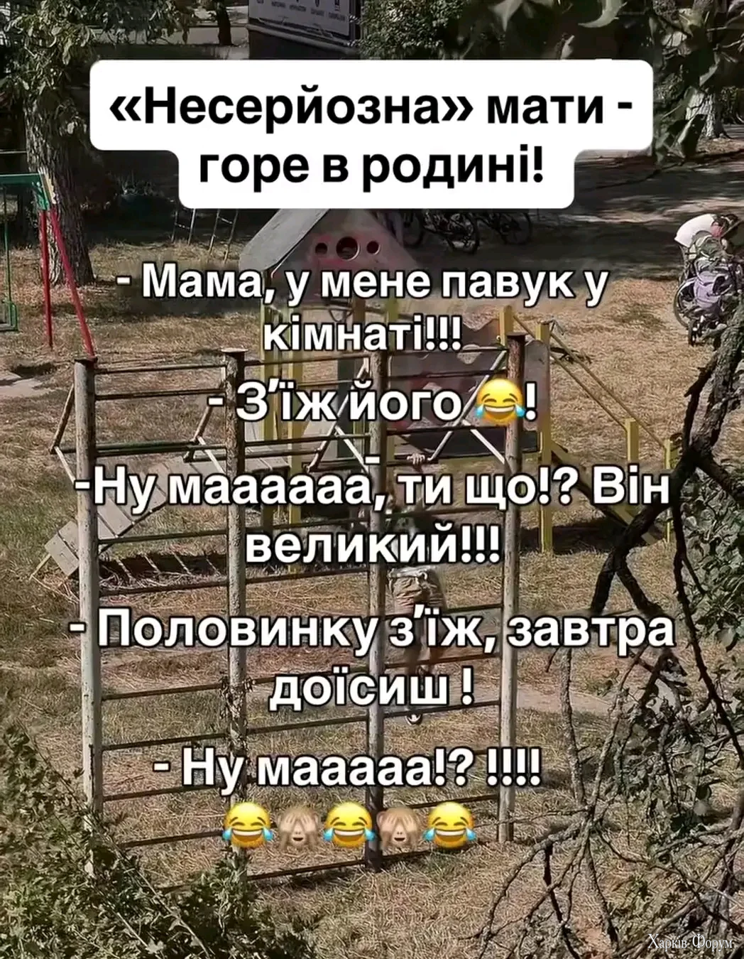 1000038785.webp