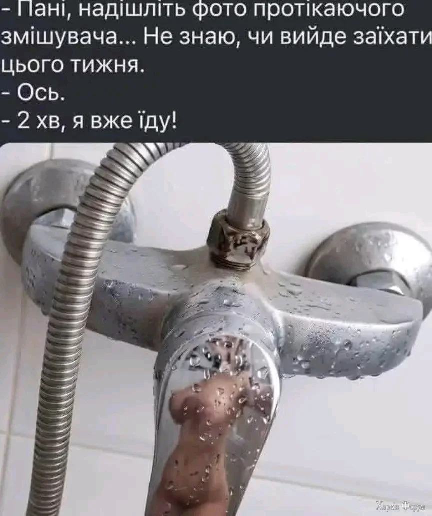 1000038850.webp