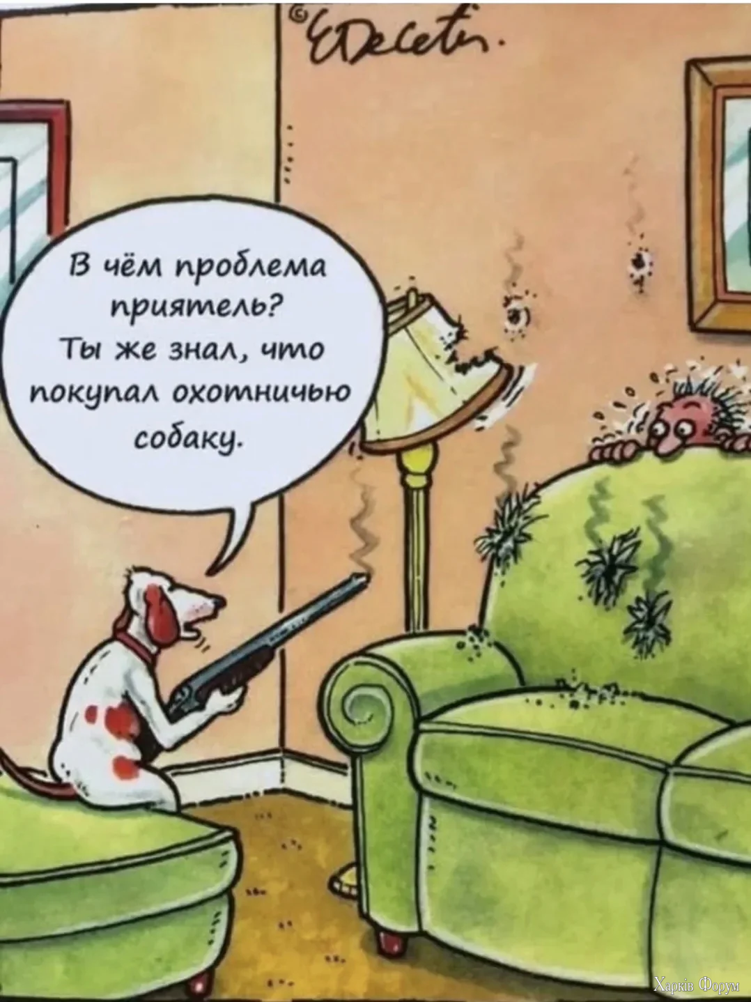 1000039615.webp