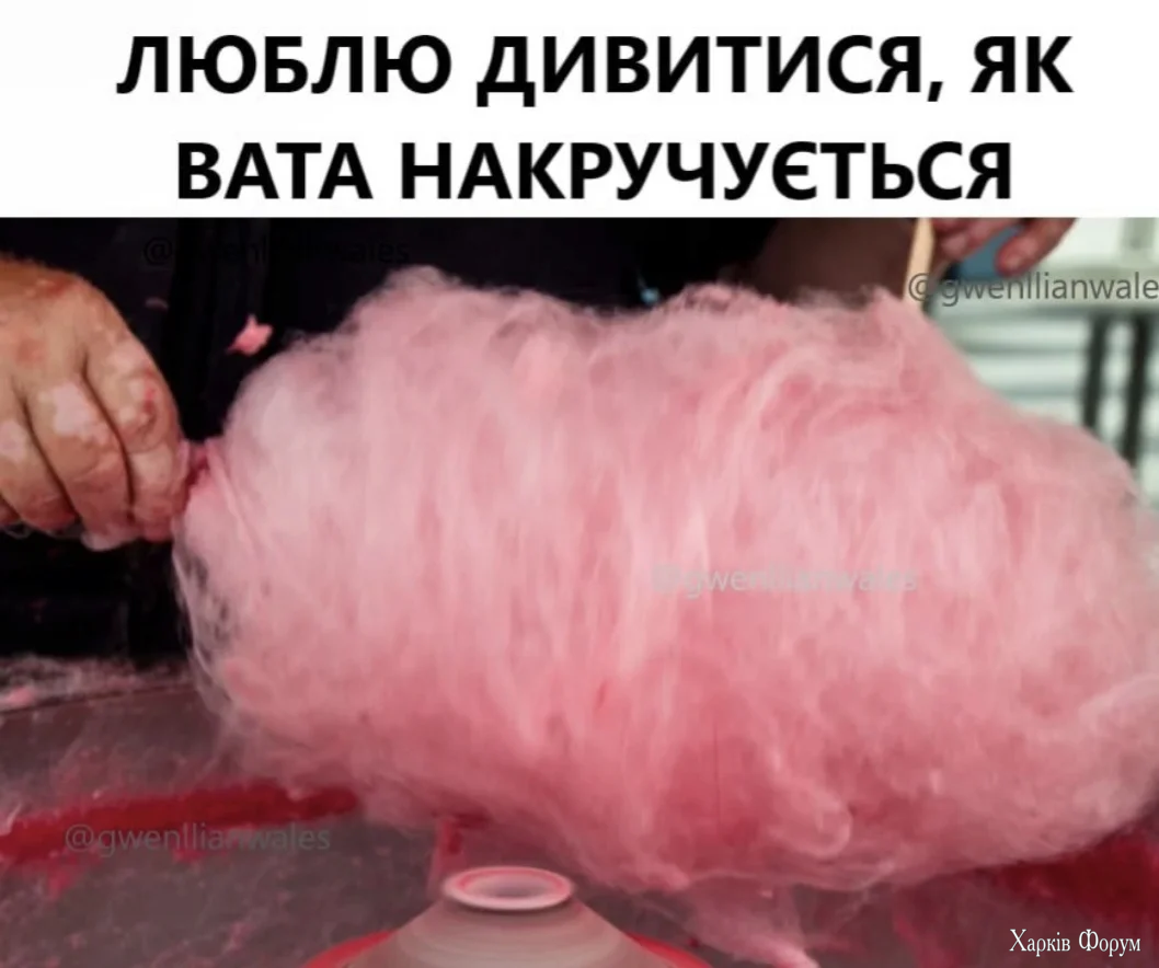 1000039617.webp